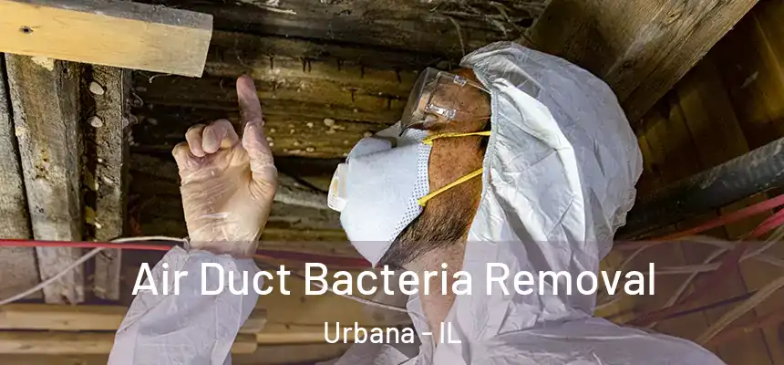  Air Duct Bacteria Removal Urbana - IL