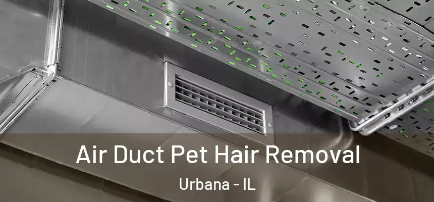  Air Duct Pet Hair Removal Urbana - IL