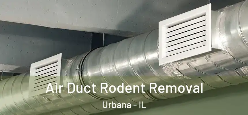  Air Duct Rodent Removal Urbana - IL