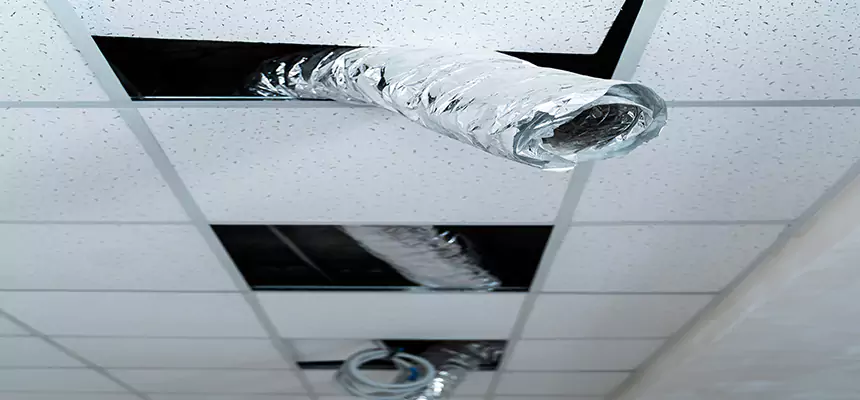 Our Air Duct Pet Hair Removal Services in Urbana, IL