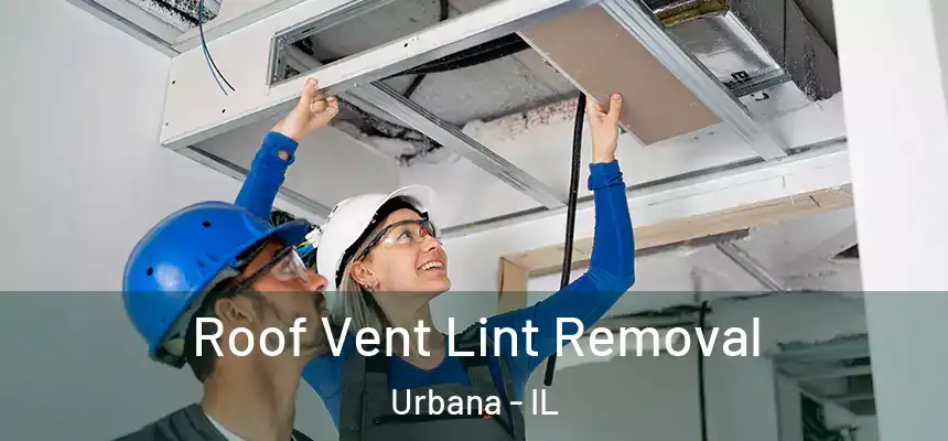  Roof Vent Lint Removal Urbana - IL