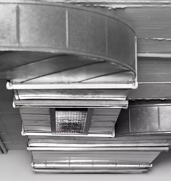 Professional Air Duct Pest Removal in Urbana, IL