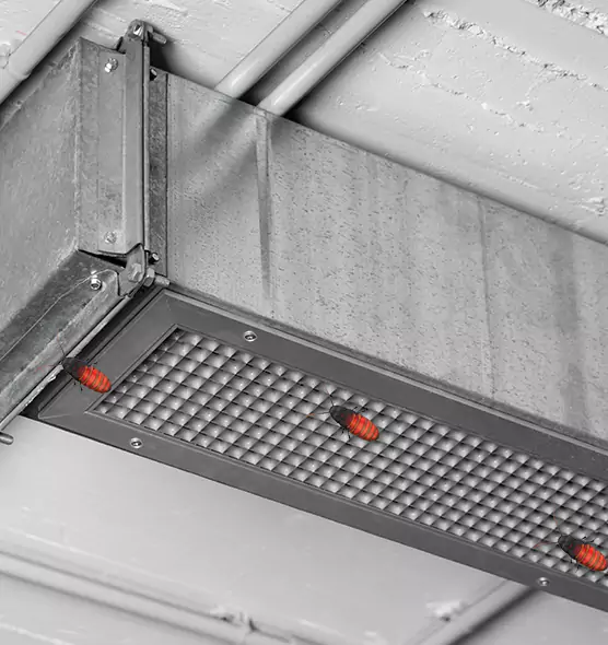 Affordable Insect Removal from Air Ducts in Urbana, IL