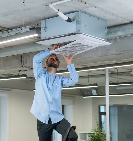 Advanced Rodent Droppings In Vents in Urbana, IL