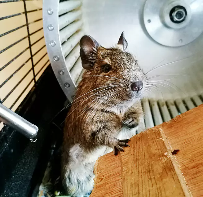 Why Homeowners & Businesses Trust Us Urbana, IL